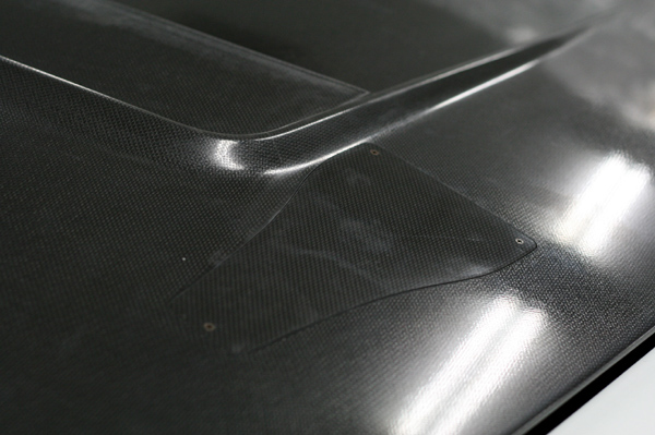 424 hood 2 IMG_6744.jpg